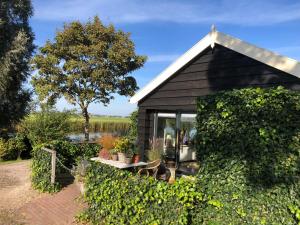 una piccola baracca nera con una panchina e un albero di Gastenhuisje De Donk a Brandwijk