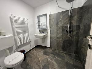 a bathroom with a toilet and a sink and a shower at Casa Lupilor 2 Vidraru in Căpăţîneni-Ungureni