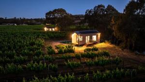 een klein huisje in een veld 's nachts bij Seabrook Vineyard Retreat 