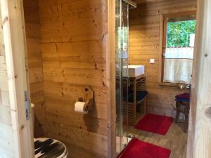 een badkamer in een blokhut met een toiletpapierdispenser bij Chalet la Cabane d'Ernestine, petit-déjeuner inclus in Les Villards-sur-Thônes