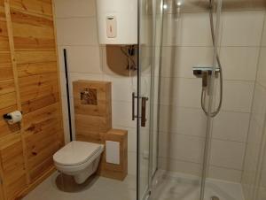 a bathroom with a toilet and a glass shower at Miodowa cisza in Szafarnia +7 photos