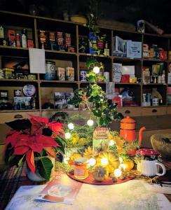 Đồ ăn tại/gần nhà nghỉ B&B +21 ảnh