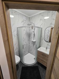 a bathroom with a shower and a toilet at Prenočišca Dany 3 in Dravograd