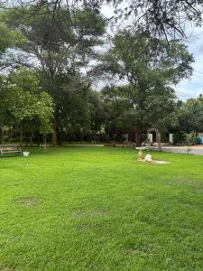 two people laying on the grass in a park at Zengu in Lusaka