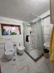 un bagno con doccia, WC e lavandino di Green Oasis a Tirana Altre 17 foto