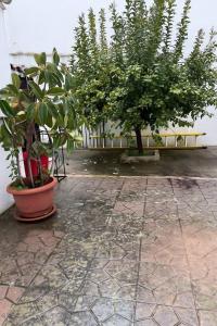 En have udenfor Alojamiento Baeza- El Limonero A + 16 billeder