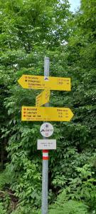 a street sign with yellow arrows on a pole at DingDong in Unteraichwald +38 photos