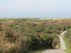 Příroda nedaleko apartmánu