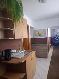 Køkken eller tekøkken på Na Górce W Białym Dunajcu