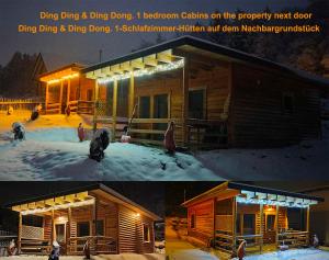 Dingsbums om vinteren