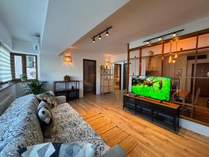 een woonkamer met een tv en een bank bij Central-home in Târgu Jiu