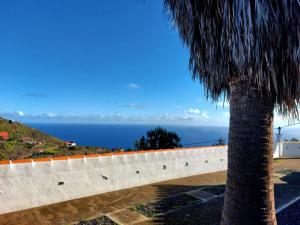 a palm tree next to a wall with the ocean at Peluquina in Barlovento +14 photos