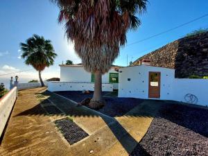 een gebouw met een palmboom ervoor bij Peluquina in Barlovento