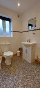 ein Badezimmer mit weißer Toilette und Waschbecken in der Unterkunft Bwlch Cottage in Gwaynynog
