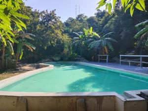 een groot zwembad met groen water in een tuin bij Finca Los Mangos in Palomino