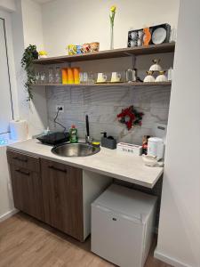 een keuken met een spoelbak en een aanrechtblad bij Happy moments Studio Kraljevo in Kraljevo