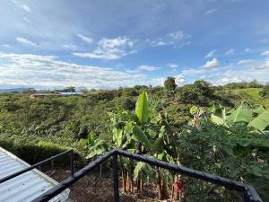 een uitzicht vanaf het balkon op een bananenplantage bij Casa boreales in Quimbaya