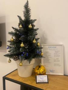 Ảnh trong thư viện ảnh của Zefiro Ostia ở Lido di Ostia