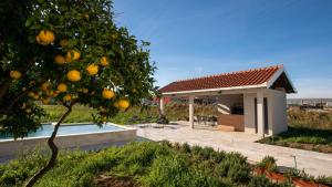 una casa con un albero di arance accanto a una piscina di Villa Dolina Opuzen by Villas Guide a Podgradina