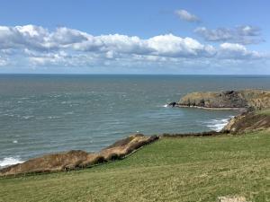 una vista sull'oceano con un campo verde e scogliere di Dol Llan - Hw7569 a Llangrannog