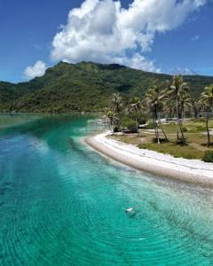 una spiaggia con palme e una bacinella d'acqua di Tropical Place a HUH
