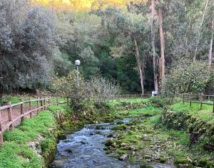 Naturlandskabet i nærheden af feriehuset