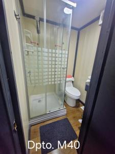 un bagno con doccia e WC di Wildepartamentos Valdivia TM a Valdivia