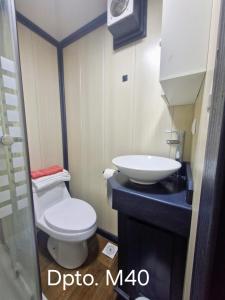 un bagno con un water bianco e un lavandino di Wildepartamentos Valdivia TM a Valdivia
