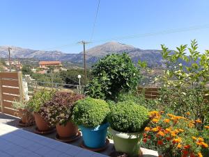 Billede fra billedgalleriet på ainos cottage i Kambitsáta