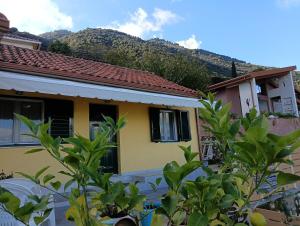 Billede fra billedgalleriet på ainos cottage i Kambitsáta