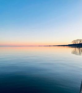 Naturlandskabet i nærheden af lejligheden