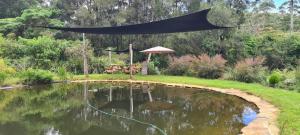 a canopy over a pond with a table and an umbrella at Forest Gypsy Tiny Home in Barkers Vale