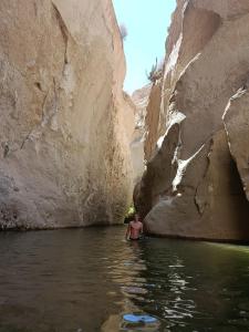Naturlandskabet i nærheden af campingpladsen + 7 billeder