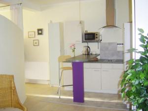 a kitchen with a purple island in a room at Vollumen Business-Juniorsuite in Redwitz an der Rodach