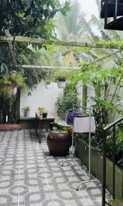 En have udenfor Phòng Mơ - Nhà Mơ Homestay Bến Tre + 27 billeder