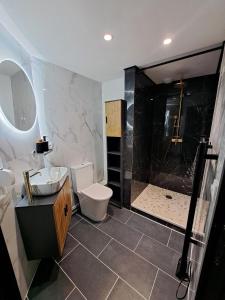 un bagno con doccia, WC e lavandino di La suite d'Isa a Lens Altre 9 foto