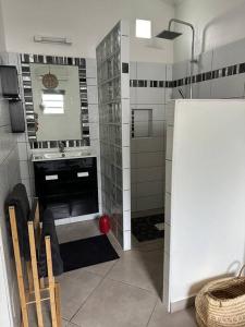een kleine badkamer met douche en wastafel bij Ti Kaz Lol in Saint-Paul