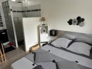 a bedroom with a bed and a shower in it at Ti Kaz Lol in Saint-Paul
