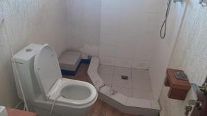 un piccolo bagno con wc e doccia di Sorba Lodge Lalibela a Lalībela