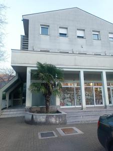 a building with a palm tree in front of it at Apartman Spanish Square in Mostar