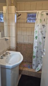 a bathroom with a sink and a shower curtain at Complejo Casablanca Plottier in Plottier