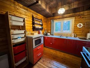 La cuisine est équipée de placards rouges et d'un four avec plaques de cuisson. dans l'établissement Chata Naděje, à Kořenov