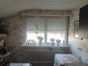 a window with potted plants sitting on a window sill at Studio Cosy proche Strasbourg in Hoenheim
