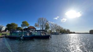 a group of boats docked at a dock on a river at Hausboot Lütje in Hamburg