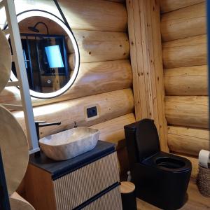 a bathroom with a sink in a log cabin at Sparrow's Nest Spacious Mountain Chalet with Hot Tub and Panoramic Views in Râşnov +16 photos