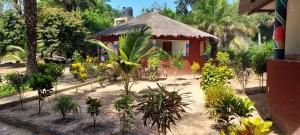 En have udenfor Campement les Antilles + 36 billeder