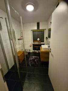 a bathroom with a shower and a sink at Ferienhaus an der Brunnenaue 4 Sterne, E-Ladestation am Haus, Wlan, Netflix, Garten in Sagard +62 photos