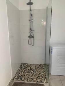 a bathroom with a shower with a glass door and a rug at Brada Gites2 in Deshaies