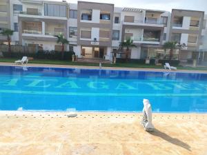 a bird sitting in front of a swimming pool at santa barbara in Mansouria