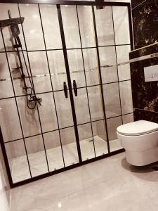 a bathroom with a shower and a toilet at Bediroğlu apart in Arnavutköy